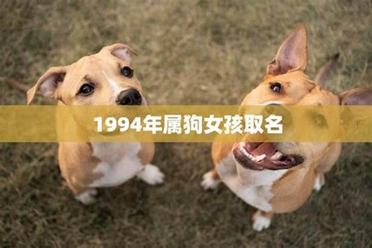 1994年属狗女孩取名什么最好呢