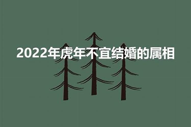 1991出生的2023的运势