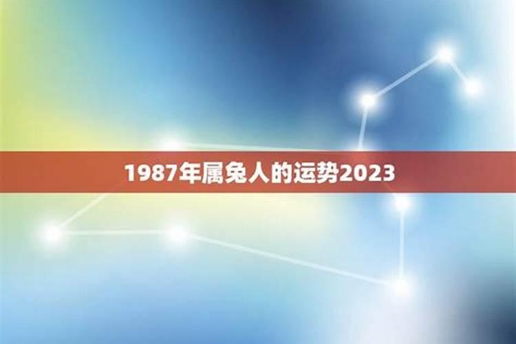 1987年属兔人的命运