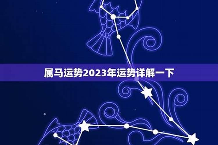 属马的人在2023年的运势如何呢女孩