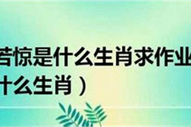 金榜题名是什么生肖