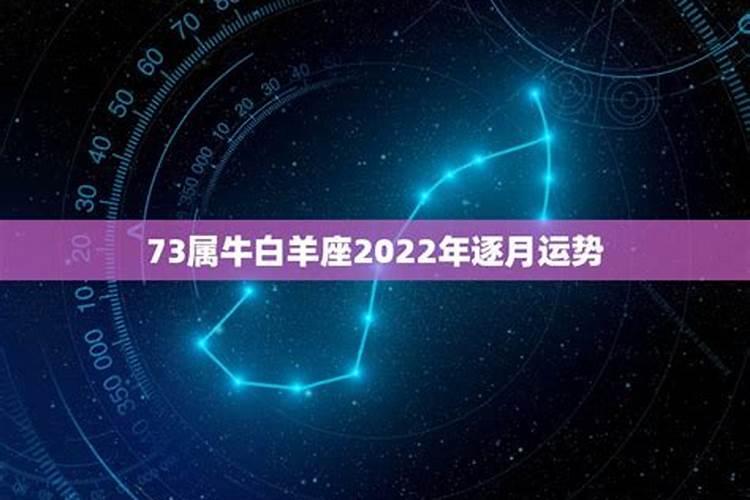 属牛白羊座2020财运如何