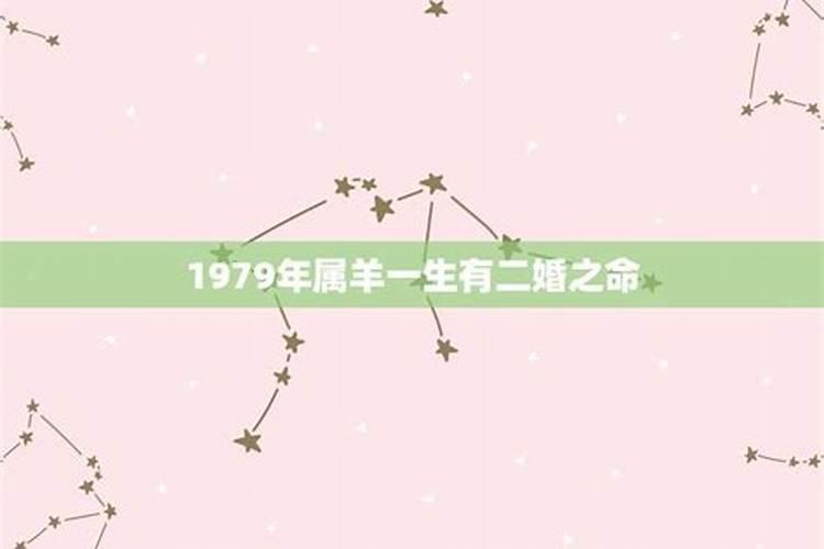 1979年属羊女人的婚姻状况如何