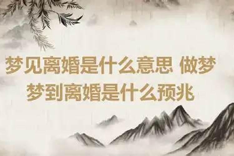 梦见离婚代表什么数字