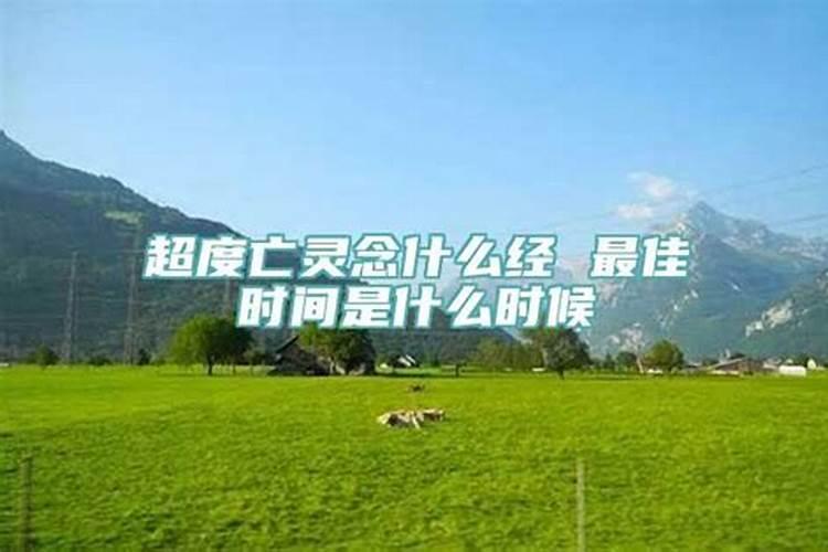 属蛇的2023年是否犯太岁