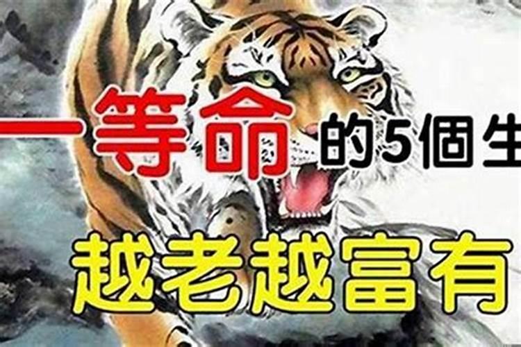 一辈子最不缺钱的5大生肖