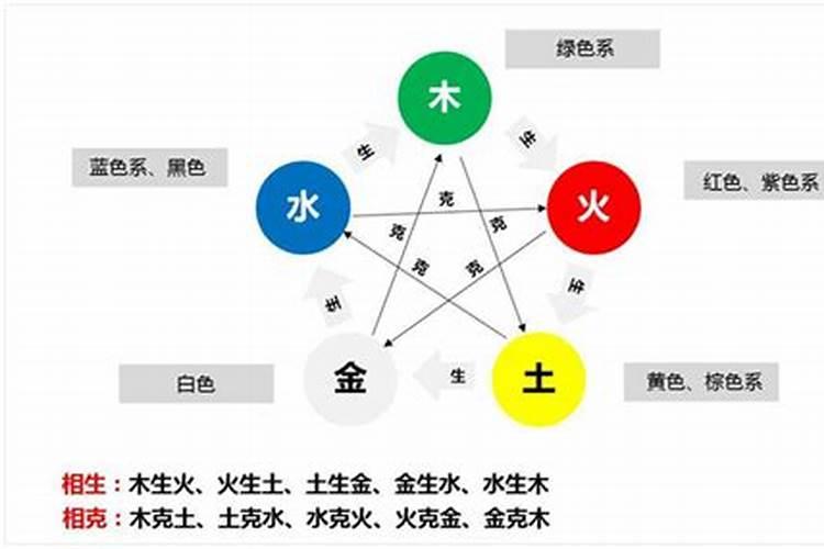 绿色植物五行属什么属性