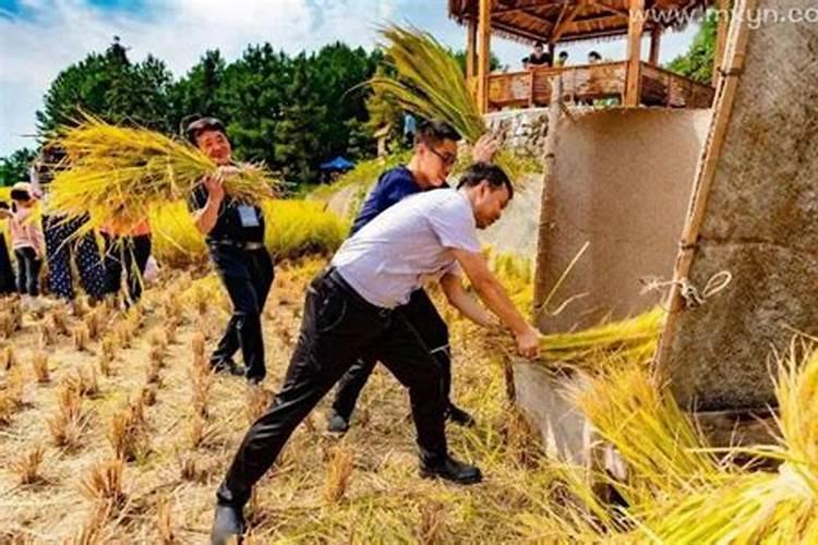 梦见和家人在一起干活好不好