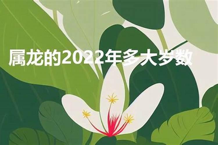 属龙的2022年今年多大