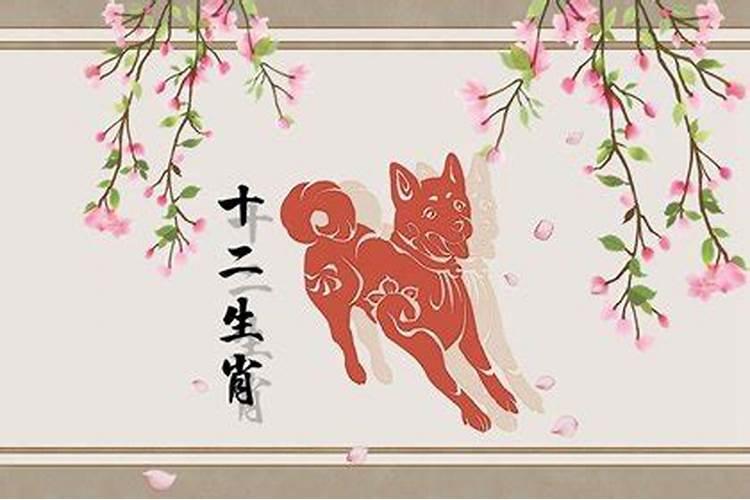 两公婆都是属马今年运势