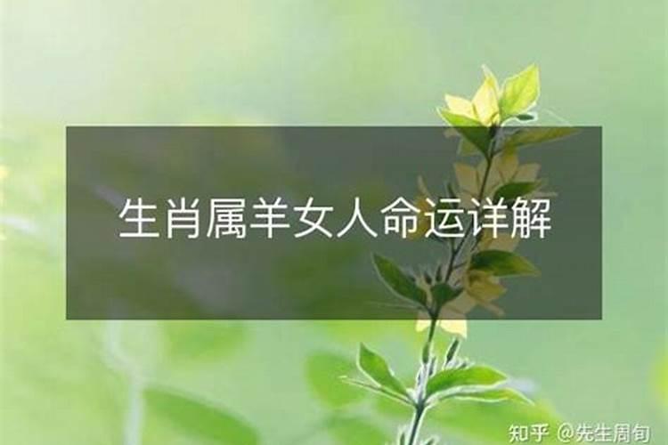 属羊的女人命好不好九月