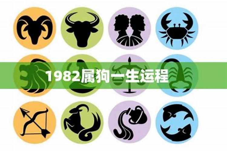 1982年属狗三月运程好吗