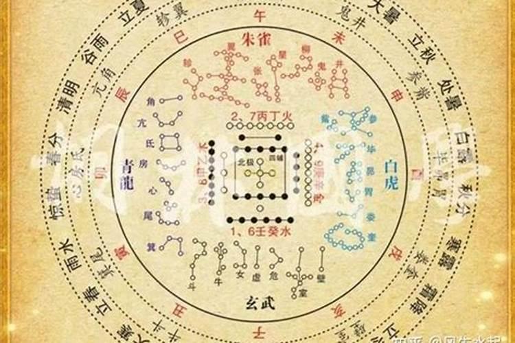 戊子年是什么生肖