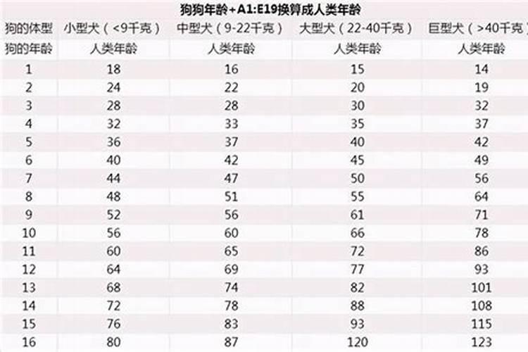 1946生肖狗今年几岁