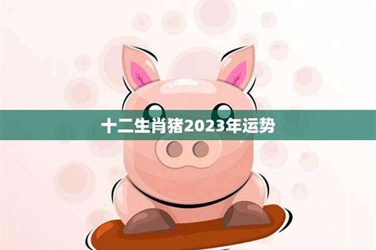 2023年属猪的人的运势如何