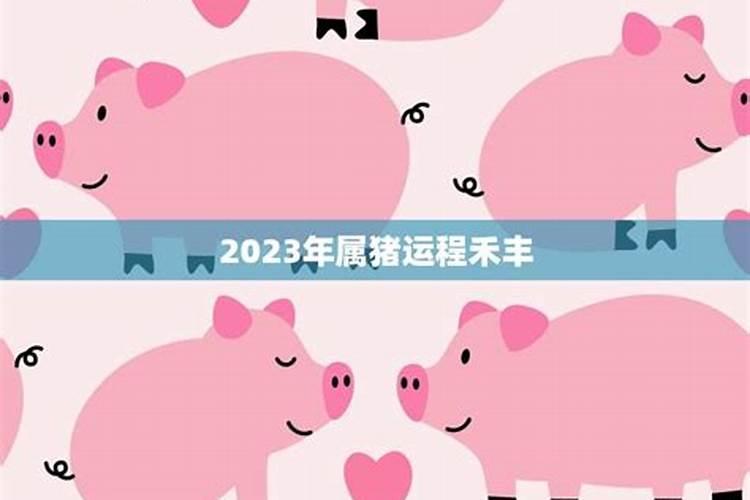 2023年属猪运势麦玲玲