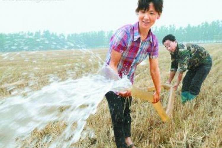 属鸡女人佩戴什么招财的东西