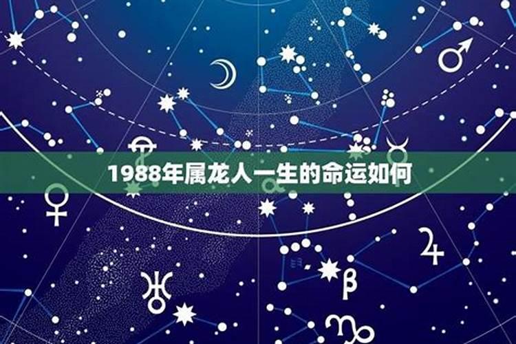 1988年10月出生的运势