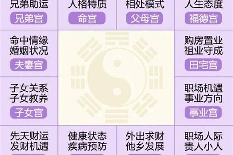 八字配合紫微斗数测运势