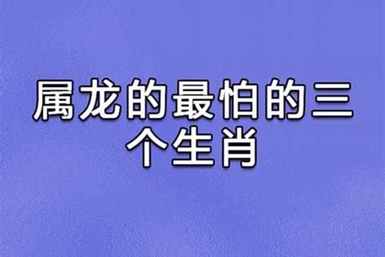 属龙最怕的人是谁