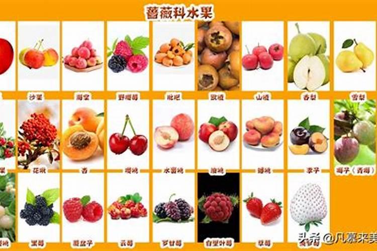 天秤座最喜欢吃的水果