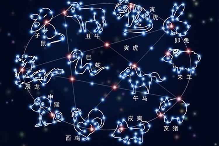 十二生肖对应12星座