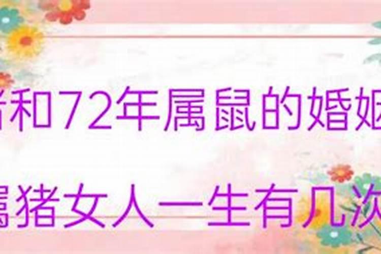 71年属猪女的一生有几个孩子呢