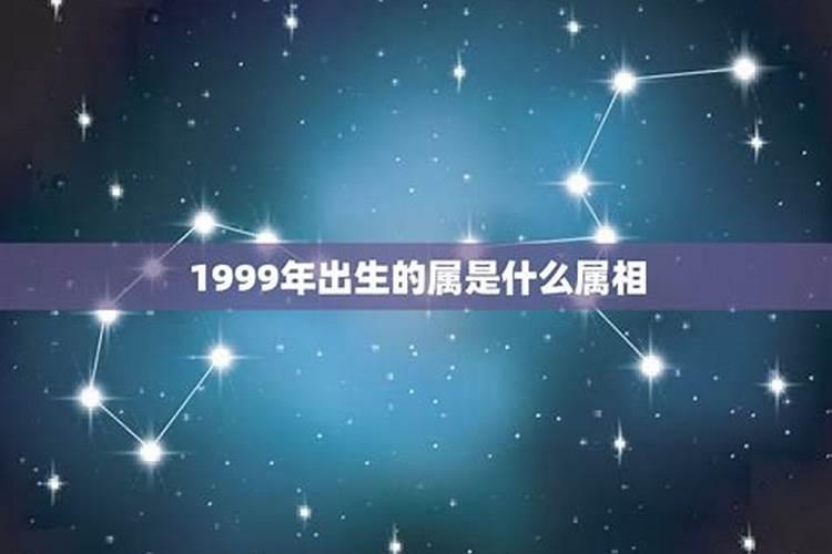 1999年属什么的什么命