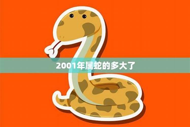 2001年属蛇的多大年龄