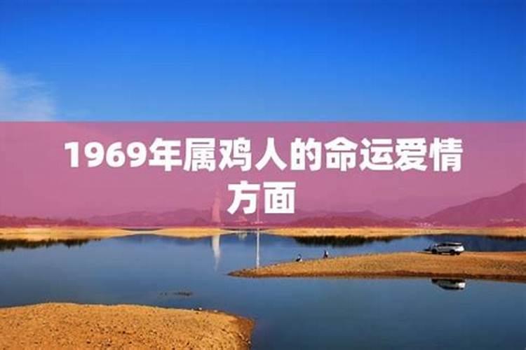 1969年属鸡人的命运爱情方面