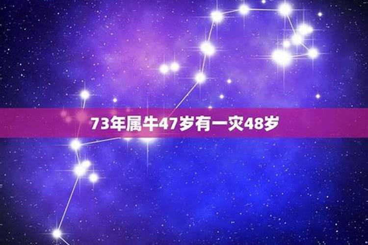 73年属牛48岁有一灾吗2023劫难如何化解