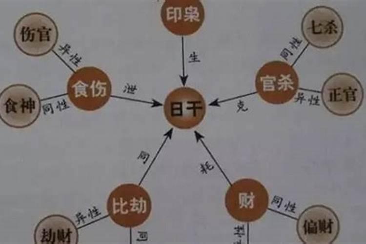 怎么看八字里面的十神？