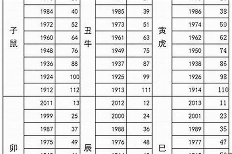 属猪的今年多大了2023年