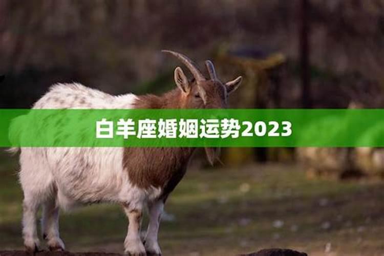 2021年白羊座婚姻感情