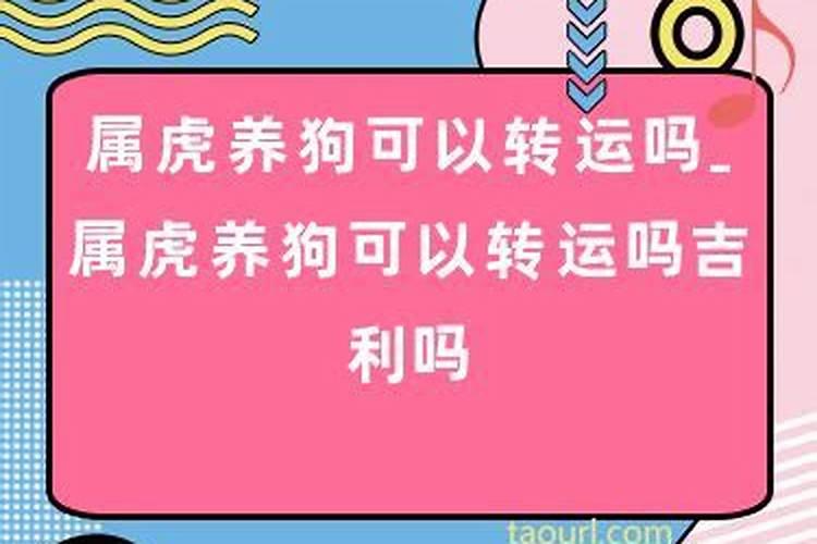 属虎的人可以参与搬家吗