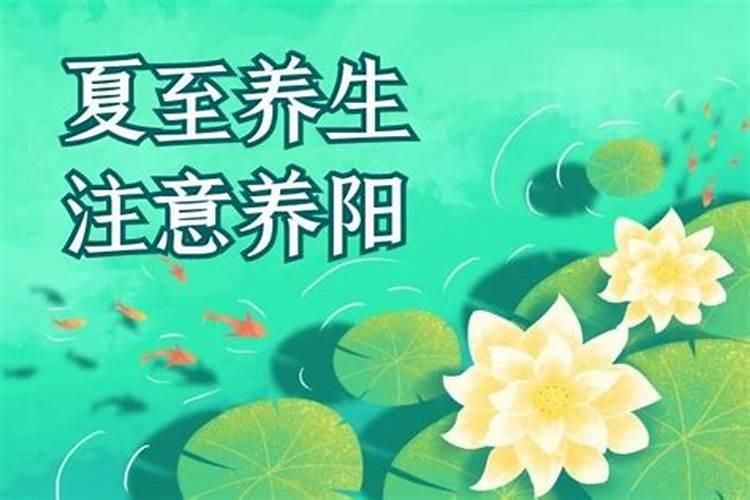 夏至注意什么