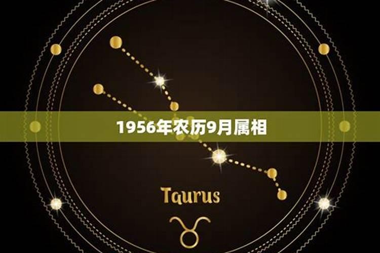 1974年女虎4月运势如何