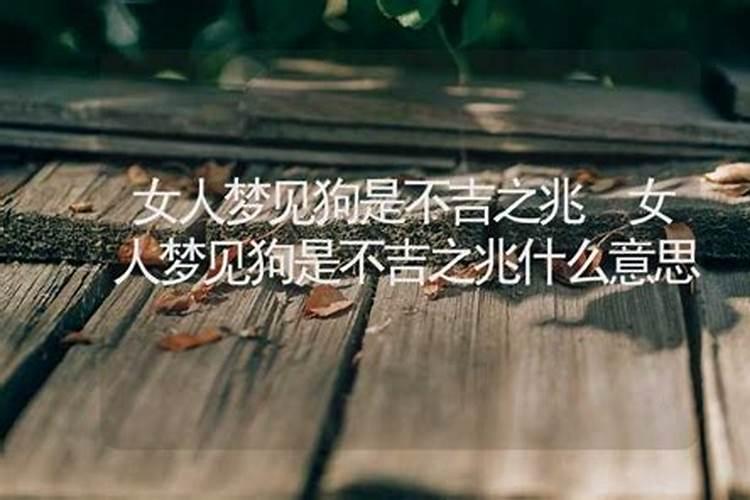 梦见狗什意思周公解梦