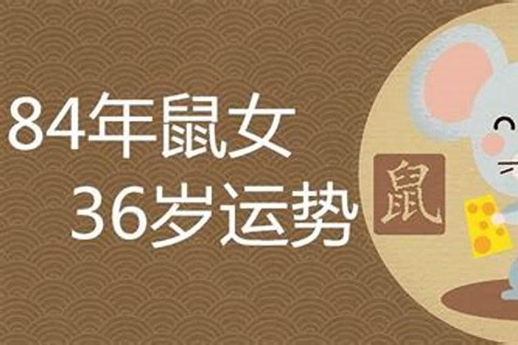 84年女鼠2023年属鼠人的全年运势