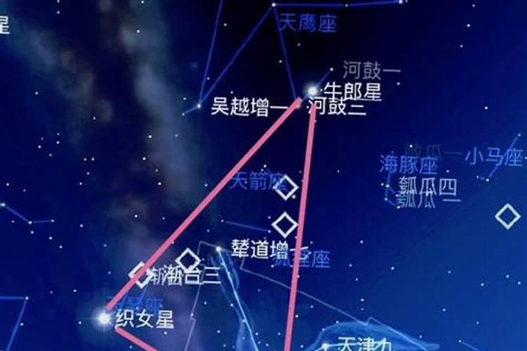 牛郎星是什么星座织女星是什么星座