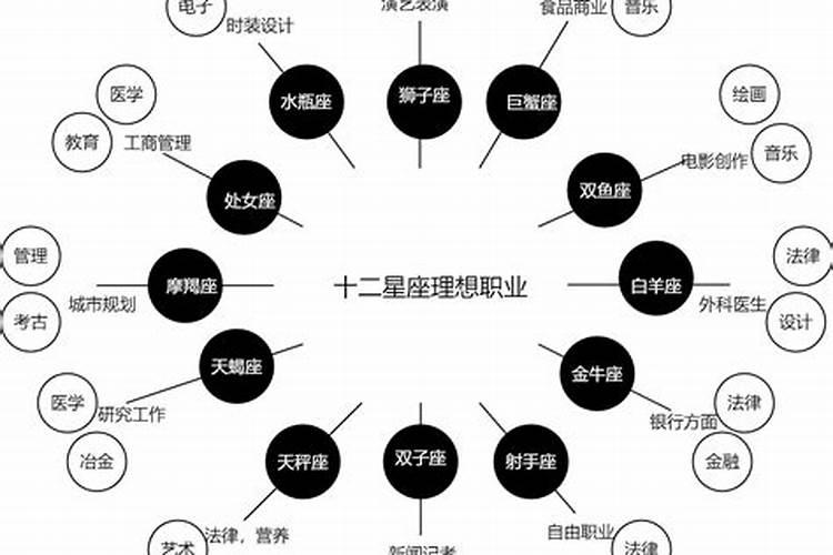 12星座的职业是什么