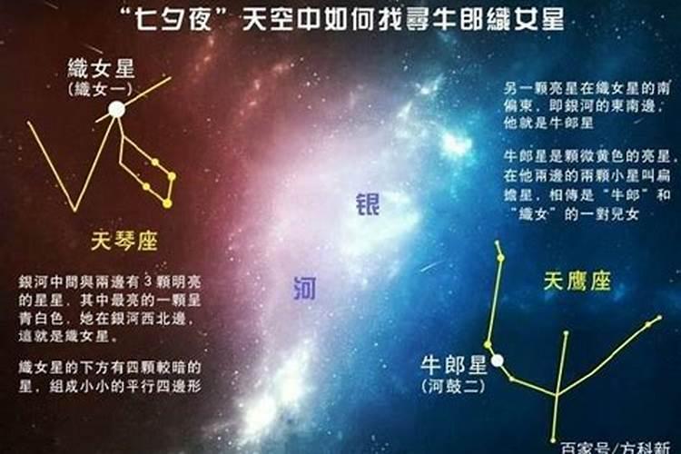 牛郎星属于哪个星座织女星属于哪个星座