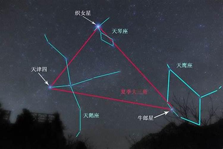 牛郎星是什么星座的