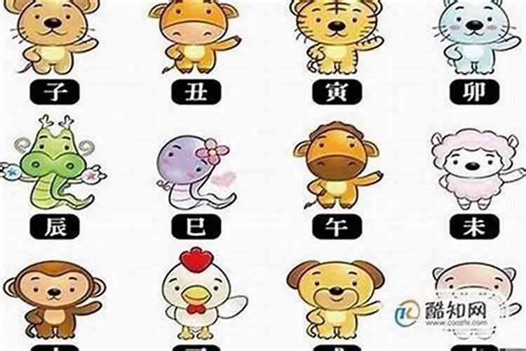 12生肖男哪个老公最好