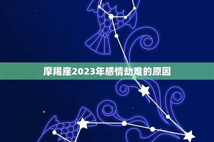 摩羯座2023年爱情运势详解