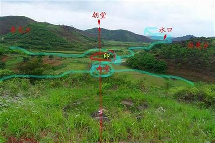 2021属羊犯什么太岁将军