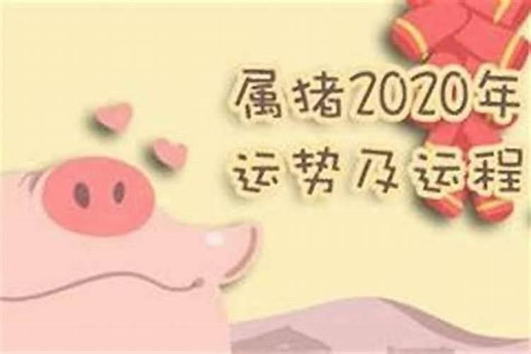 属猪的2021年8月运势