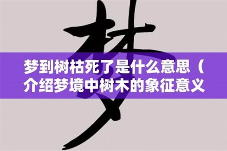 梦见树都死了啥意思好不好