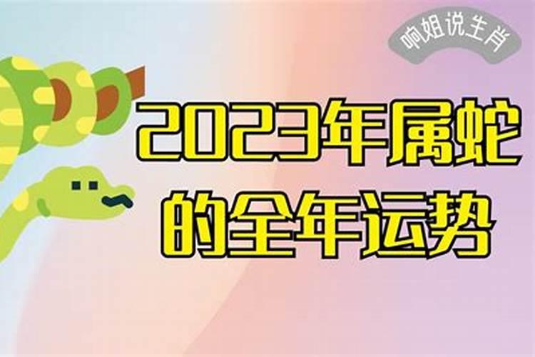 2023年生肖蛇的全年运势