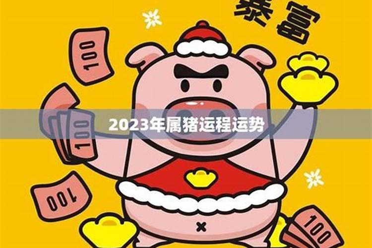 生肖猪2023年运势财运